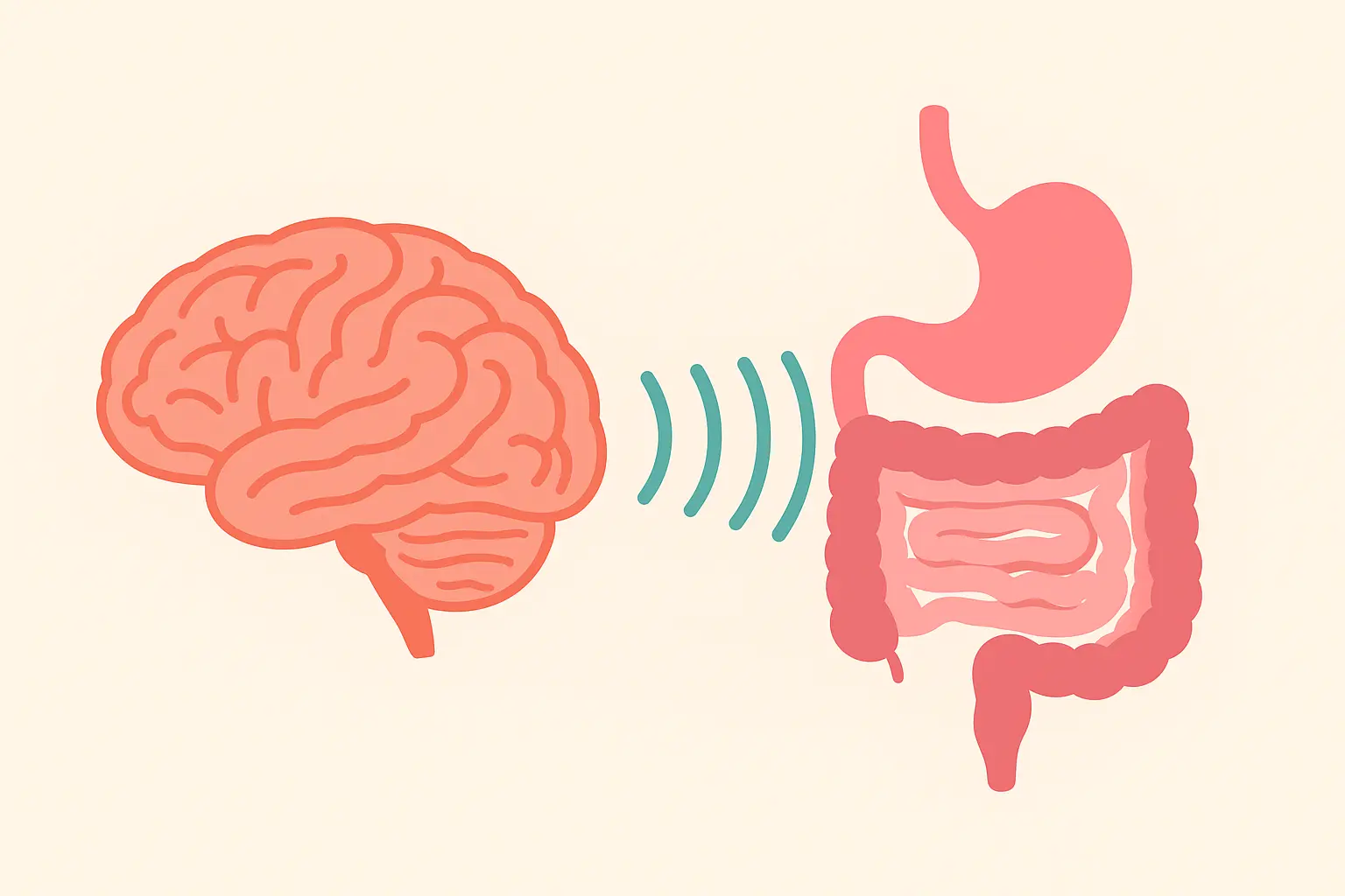 Illustration of the mind-gut connection showing the human brain linked to the digestive system to represent gut-brain axis